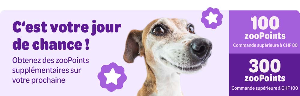 C'est votre jour de chance ! Obtenez des zooPoints supplémentaires sur votre prochaine. 100 zooPoints Command supérieure à CHF 80. 300 zooPoints Commande supérieure à CHF 100.