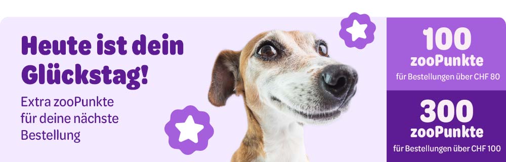Heute ist dein Glückstag! Extra zooPunkte für deine nächste Bestellung. 100 zooPunkte für Bestellungen über CHF 80. 300 zooPunkte für Bestellungen über CHF 100.