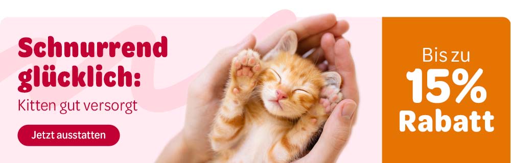 Schnurrend glücklich: Kitten gut versorgt - Bis zu 15% Rabatt