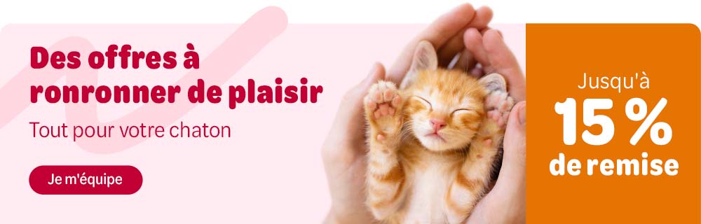 Des offres à ronronner de plaisir. Tout pour votre chaton - Jusqu'à 15% de remise