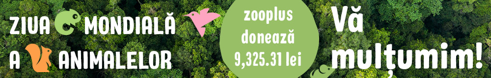 zooplus donează 9,325.31 lei de Ziua Mondială a Animalelor