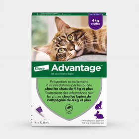 Pipettes Advantage pour chat