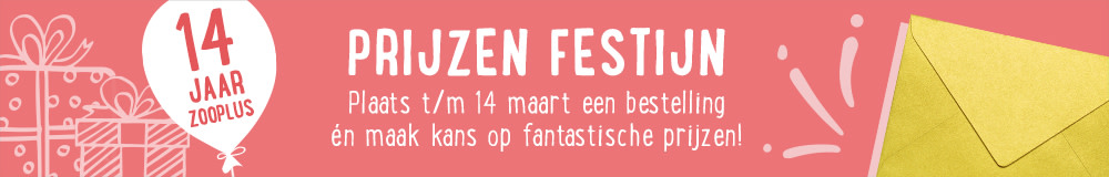 Prijzenfestijn