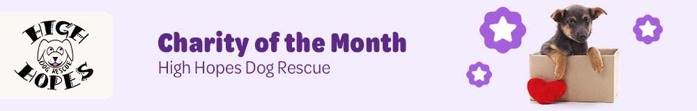 Charity of the month: High Hopes Dog Rescue