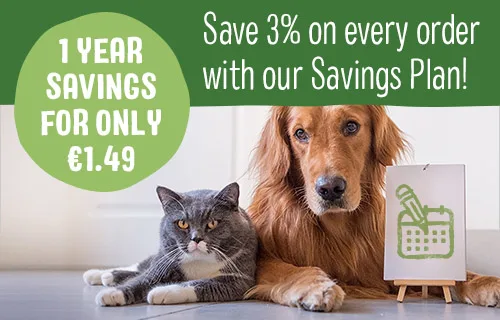 Save 50% on savings plan now!