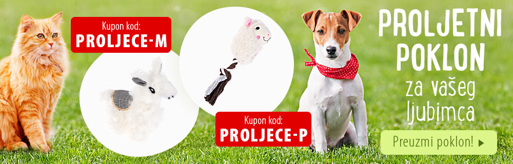 Proljetni poklon