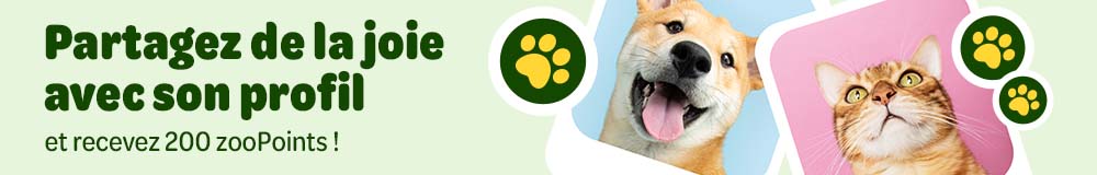 Créez le profil de votre animal !