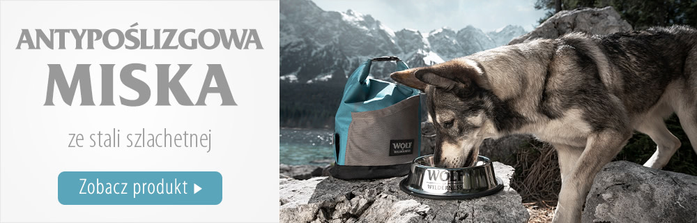 miska dla psa