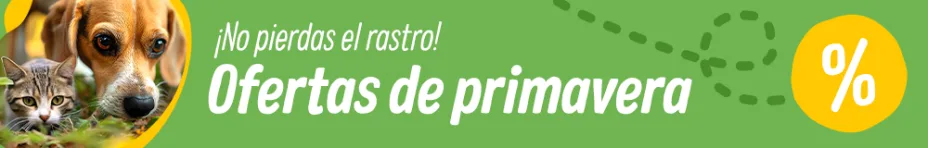 Llegan las ofertas de primavera