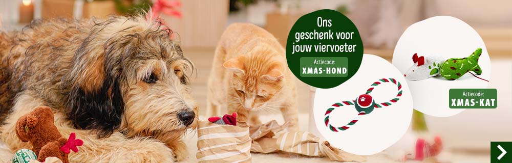 Kerstfreebie banner