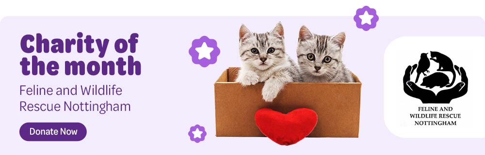 Charity of the month: Feline and Wildlife Rescue Nottingham