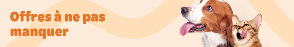 Les offres du moment