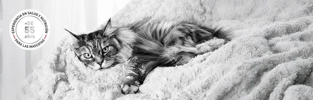 Más de 55 años de experiencia en salud animal y ciencia