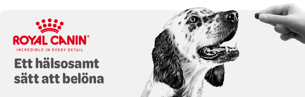 Royal Canin Snacks