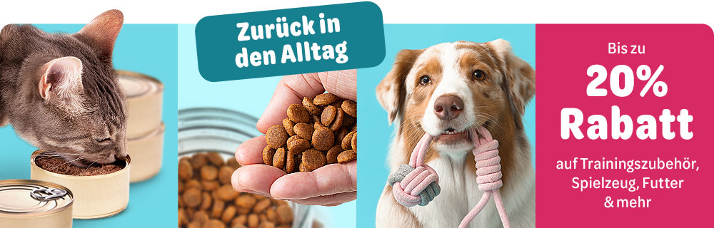 Bis zu 20% Rabatt