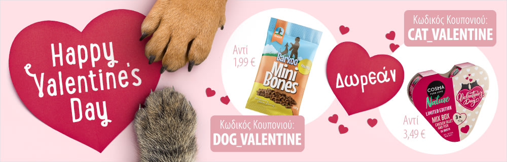 Valentine's Day