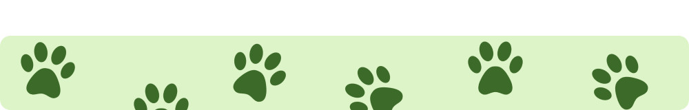 Łapki na zielonym tle.