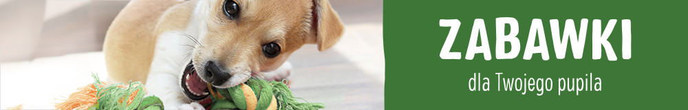 Zabawki banner