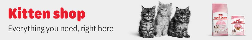 Kitten Shop