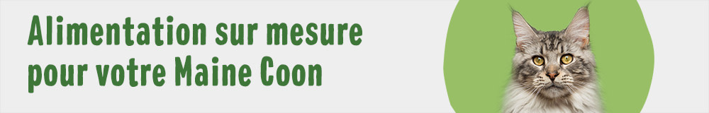Croquettes et sachets pour Maine Coon