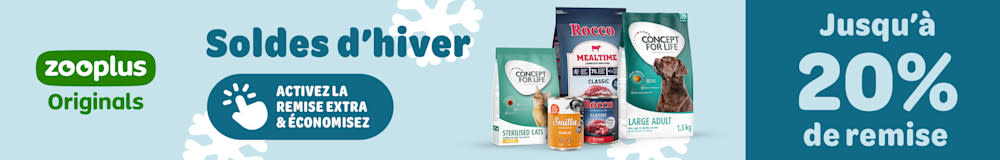 Soldes d’hiver — jusqu’à 20 % de remise