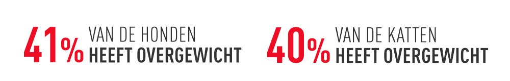 Royal Canin Weight Management banner 2