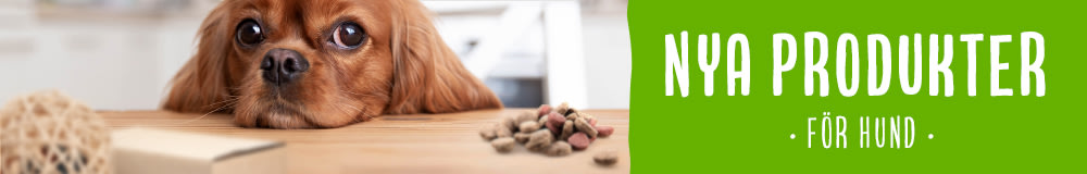 Nya produkter för hund