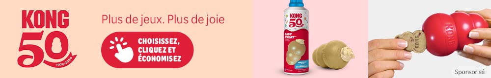 Soldes : jusqu’à -40 % sur les jouets pour chien