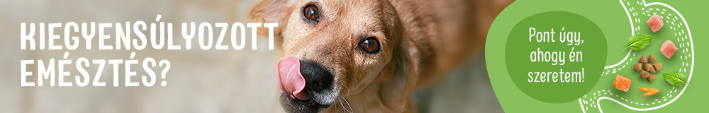 A jó emésztésért