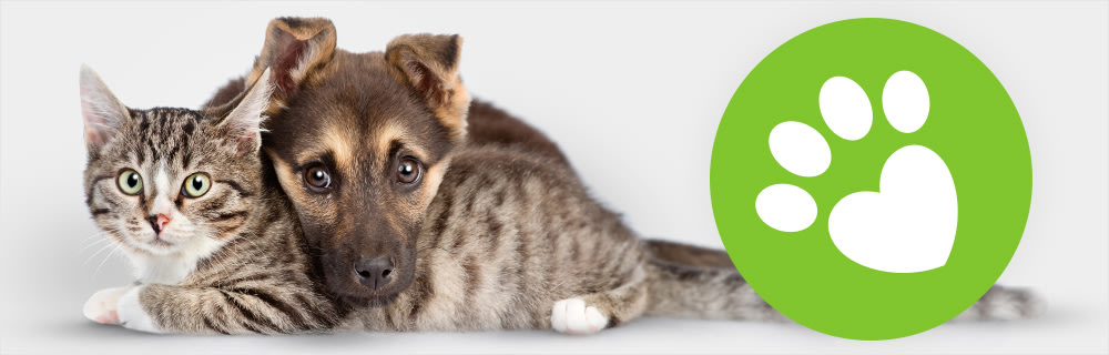 zooplus charity