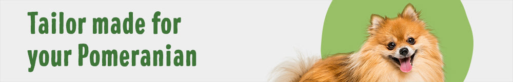 Pomeranian