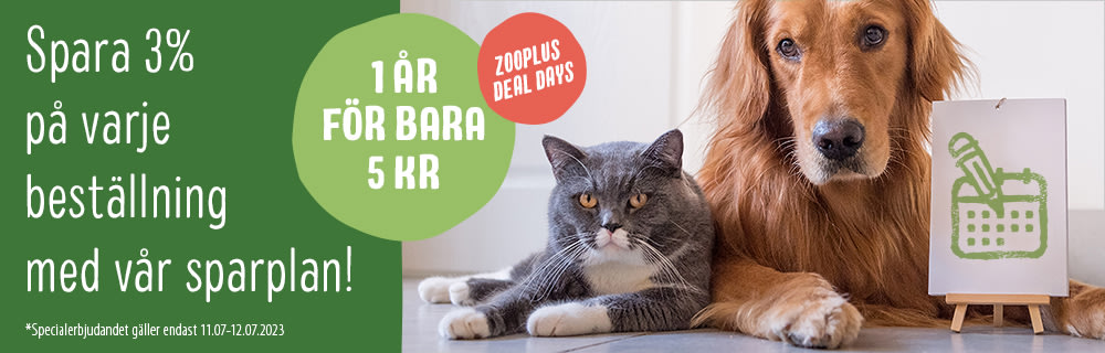 Spara 3% i ett år för bara 5 kr