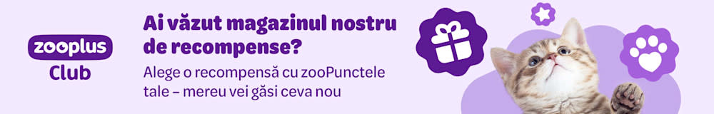 Ai vazut magazinul nostru de Recompense? Alege o recompensă cu zooPunctele tale - mereu vei găsi ceva nou.