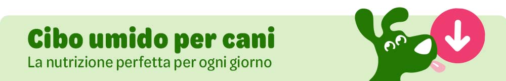 IT Your Choice OBF DOG Reco Header Banner 1000x160