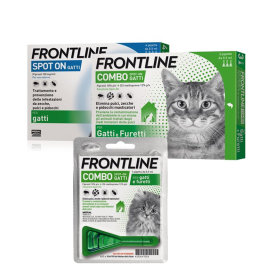 Frontline gatto
