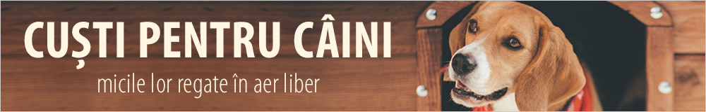 Custi pentru caini