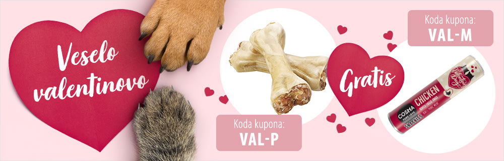 Valentinovo darilo za vašega ljubljenčka