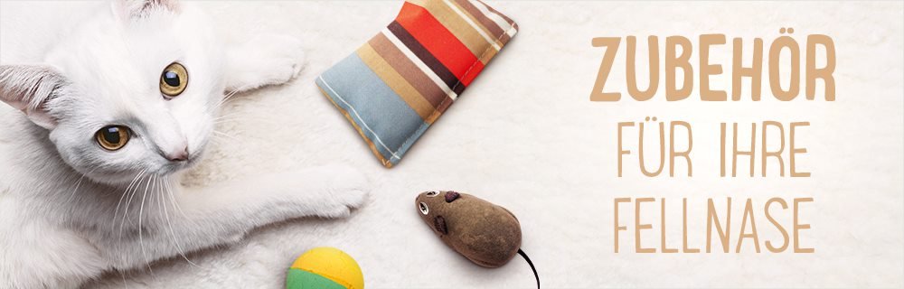 Cat Accessories