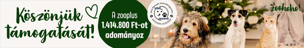 Karácsonyi adományozás