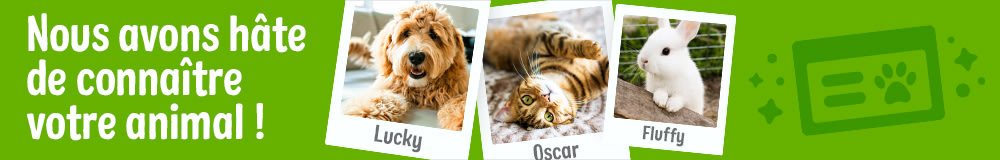 Présentez-nous votre animal !