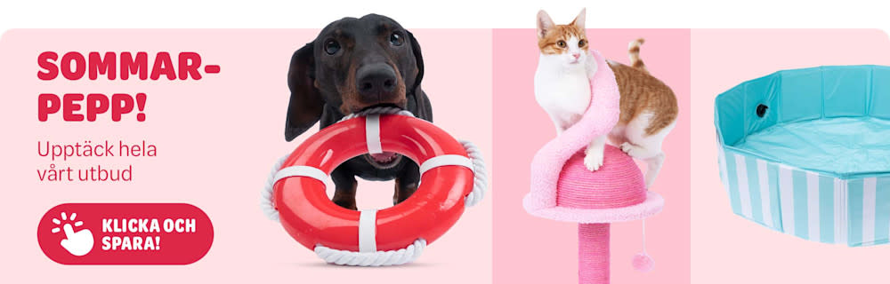 Sommarerbjudande: 20 % rabatt på hund- och katttillbehör