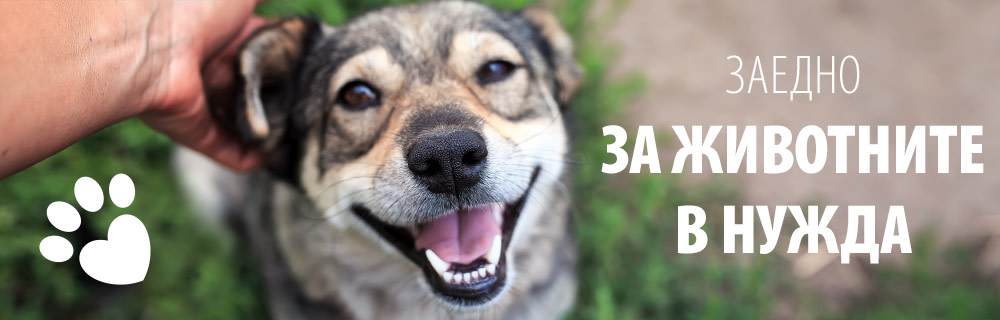 Заедно с Вас помагаме на животните в нужда в България