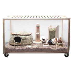 Guinea Pig Cages