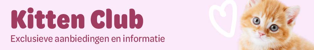Kitten Club