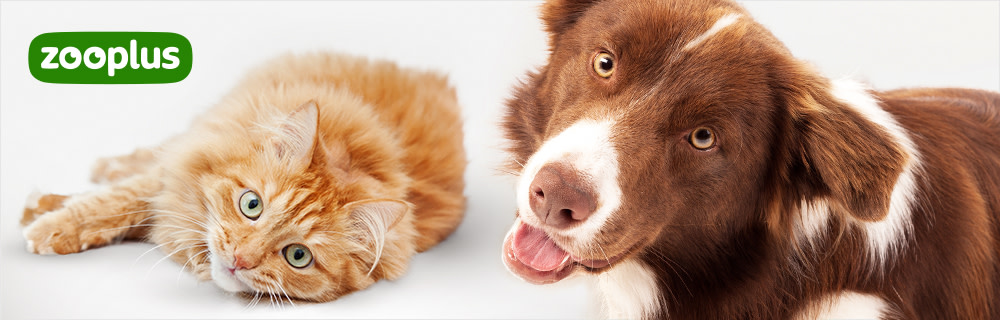 zooplus banner