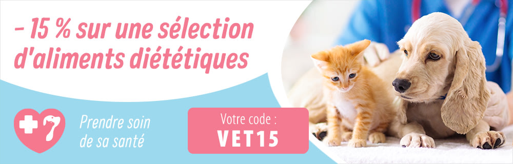 Maladies des voies urinaires chez le chat