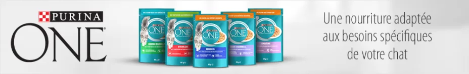 Nourriture humide pour chat purina one