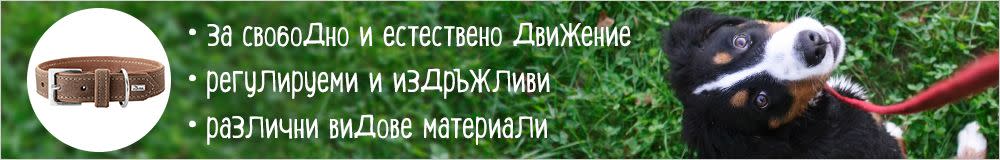 Разнообразие от нашийници за кучета