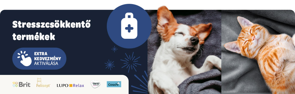 Tűzijátéktól való félelem