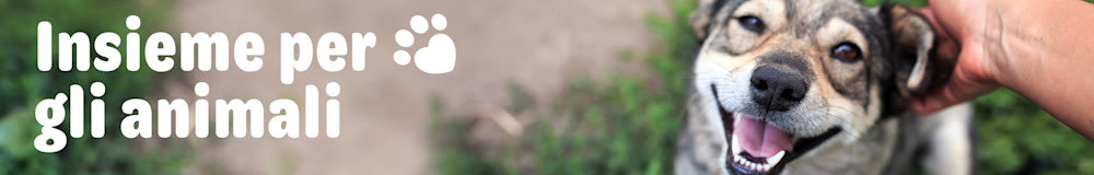 Insieme per gli animali!